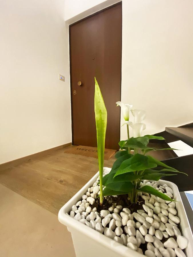 White Home Bisceglie Dış mekan fotoğraf